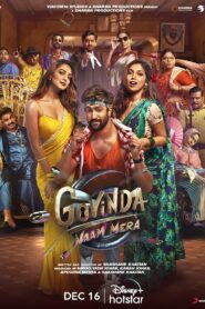 Govinda Naam Mera (2022) Hindi JHS WEB-DL H264 AAC 4K 1080p 720p 480p ESub