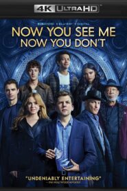 Now You See Me: Now You Dont (2025) Dual Audio [Hindi ORG-English] BluRay H264 AAC 1080p 720p 480p ESub