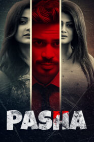 Pasha (2022) Bengali Amazon WEB-DL H264 AAC 1080p 720p 480p ESub