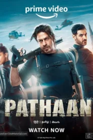 Pathaan (2023) Hindi Amazon WEB-DL H264 AAC 4K 1080p 720p 480p ESub