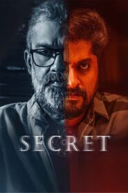 Secrets (2025) Dual Audio [Hindi ORG-Malayalam] SNXT WEB-DL H264 AAC 4K 1080p 720p 480p ESub
