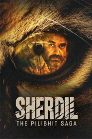 Sherdil: The Pilibhit Saga (2022) Hindi Netflix WEB-DL H264 AAC 1080p 720p 480p ESub