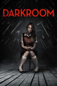 Darkroom (2013) Dual Audio [Hindi ORG-English] BluRay H264 AAC 1080p 720p 480p ESub