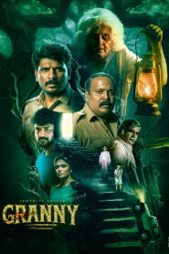 Granny (2026) Tamil Aha WEB-DL H264 AAC 4K 1080p 720p 480p ESub