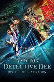 Young Detective Dee: Rise of the Sea Dragon (2013) Dual Audio [Hindi ORG-Chinese] BluRay H264 AAC 1080p 720p 480p ESub