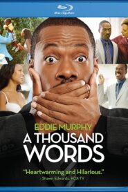 A Thousand Words (2012) Dual Audio [Hindi ORG-English] BluRay H264 AAC 1080p 720p 480p ESub