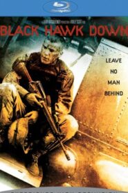 Black Hawk Down (2001) Dual Audio [Hindi ORG-English] BluRay H264 AAC 1080p 720p 480p ESub