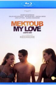 Mektoub, My Love: Canto Uno (2017) French BluRay H264 AAC 1080p 720p 480p ESub
