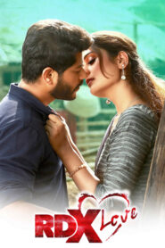 RDX Love (2019) Dual Audio [Hindi ORG-Telugu] SNXT WEB-DL H264 AAC 4K 1080p 720p 480p ESub