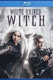 The White Haired Witch of Lunar Kingdom (2014) Dual Audio [Hindi ORG-English] BluRay H264 AAC 1080p 720p 480p ESub