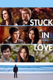Stuck in Love (2012) Dual Audio [Hindi-English] BluRay H264 AAC 1080p 720p 480p ESub