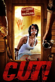 Cut! (2014) Dual Audio [Hindi ORG-English] WEB-DL H264 AAC 1080p 720p 480p ESub
