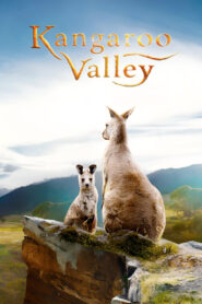 Kangaroo Valley (2022) English WEBRip H264 AAC 1080p 720p ESub