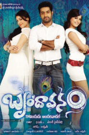 Brindavanam (2010) UnCut Dual Audio [Hindi ORG-Telugu] WEB-DL H264 AAC 1080p 720p 480p ESub