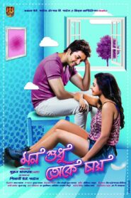 Mon Sudhu Toke Chai (2017) Bengali HDTVRip H264 AAC 1080p 720p 480p Download