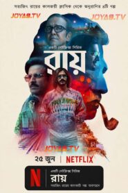 Ray (2021) S01 Bengali Dubbed ORG Netflix WEB-DL H264 AAC 1080p 720p 480p ESub