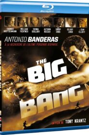 The Big Bang (2010) Dual Audio [Hindi ORG-English] BluRay H264 AAC 1080p 720p 480p ESub