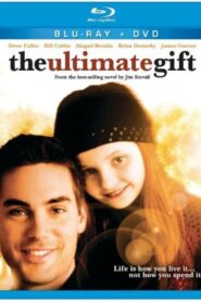 The Ultimate Gift (2006) Turkish BluRay H264 AAC 1080p 720p ESub