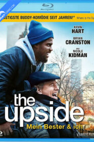 The Upside (2017) English BluRay H264 AAC 1080p 720p ESub