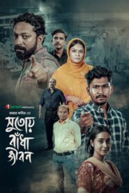 Shutoy Badha Jibon (2026) Bengali iScreen WEB-DL H264 AAC 1080p 720p Download