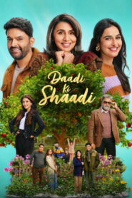 Daadi Ki Shaadi (2026) Hindi Netflix WEB-DL H264 AAC 1080p 720p 480p ESub
