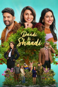 Daadi Ki Shaadi (2026) Hindi Netflix WEB-DL H264 AAC 1080p 720p 480p ESub