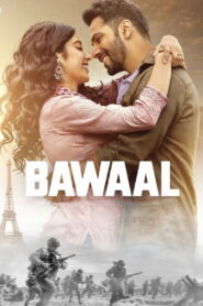 Bawaal (2023) Hindi Amazon WEB-DL H264 AAC 1080p 720p 480p ESub