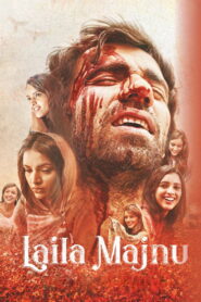 Laila Majnu (2018) Hindi Netflix WEB-DL H264 AAC 1080p 720p 480p ESub
