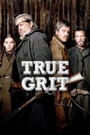 True Grit (2010) Dual Audio [Hindi ORG-English] BluRay H264 AAC 1080p 720p 480p ESub