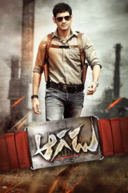 Aagadu (2014) Hindi ORG Amazon WEB-DL H264 AAC 1080p 720p 480p ESub