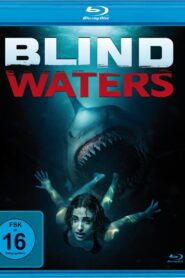 Blind Waters (2023) Dual Audio [Hindi ORG-English] BluRay H264 AAC 1080p 720p 480p ESub