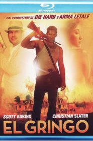 El Gringo (2012) Dual Audio [Hindi ORG-English] BluRay H264 AAC 1080p 720p 480p ESub