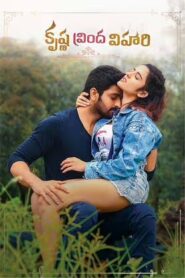 Krishna Vrinda Vihari (2022) UnCut Dual Audio [Hindi ORG-Telugu] WEB-DL H264 AAC 1080p 720p 480p ESub