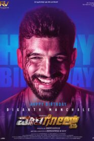 Marigold (2024) Hindi Dubbed UltraPlay WEB-DL H264 AAC 1080p 720p 480p Download