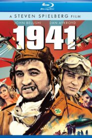 1941 (1979) Dual Audio [Hindi ORG-English] BluRay H264 AAC 1080p 720p 480p ESub