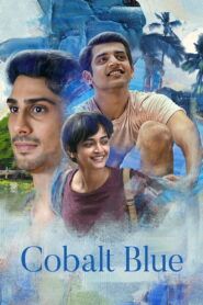 Cobalt Blue (2022) Hindi Netflix WEB-DL H264 AAC 1080p 720p 480p ESub