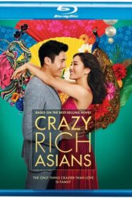 Crazy Rich Asians (2018) Dual Audio [Hindi ORG-English] BluRay H264 AAC 1080p 720p 480p ESub