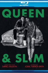 Queen & Slim (2019) English BluRay H264 AAC 1080p 720p ESub