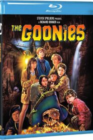 The Goonies (1985) Dual Audio [Hindi ORG-English] BluRay H264 AAC 1080p 720p 480p ESub