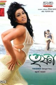 Trishna (2009) Bengali AT WEB-DL H264 AAC 1080p 720p 480p ESub
