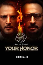 Your Honor (2020) S01 Dual Audio [Bengali ORG-Hindi] SonyLIV WEB-DL H264 AAC 1080p 720p 480p ESub