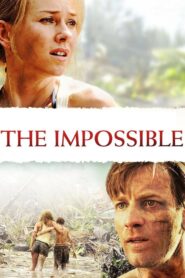 The Impossible (2012) Dual Audio [Hindi ORG-English] BluRay H264 AAC 720p 480p ESub