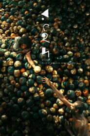 Roid (2026) Bengali HDTC H264 AAC 1080p 720p 480p Download