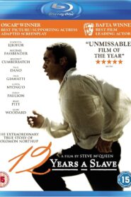 12 Years a Slave (2013) Dual Audio [Hindi ORG-English] BluRay H264 AAC 1080p 720p 480p ESub