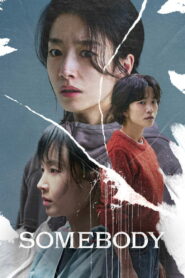 Somebody (2025) Dual Audio [Hindi ORG-Korean] Netflix WEB-DL H264 AAC 1080p 720p 480p ESub