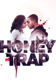 Honeytrap (2014) English DVDRip XviD 950MB ESub