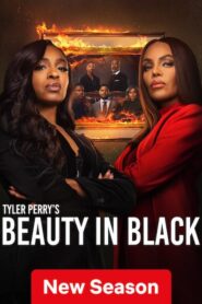 Beauty in Black (2026) S03 Dual Audio [Hindi ORG-English] Netflix WEB-DL H264 AAC 1080p 720p 480p ESub