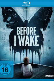 Before I Wake (2016) Dual Audio [Hindi ORG-English] BluRay H264 AAC 1080p 720p 480p ESub