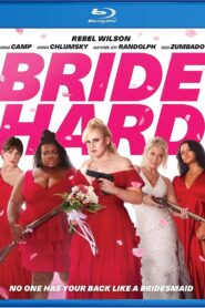 Bride Hard (2025) Dual Audio [Hindi ORG-English] BluRay H264 AAC 1080p 720p 480p ESub