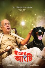 Hirer Angti (1992) Bengali Amazon WEB-DL H264 AAC 1080p 720p 480p ESub